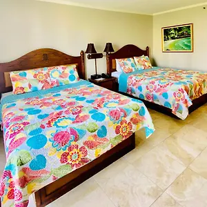 cozy-studio-with-free-parking-in-waikiki.hotelsinhawaii.org/